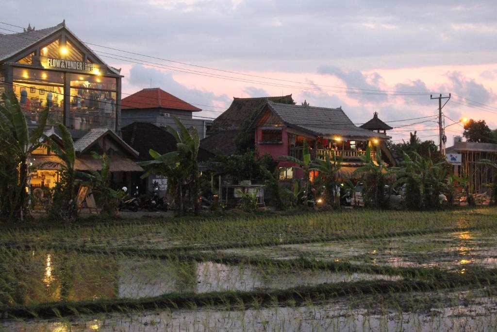 The Calmtree Bungalows Canggu Exterior foto